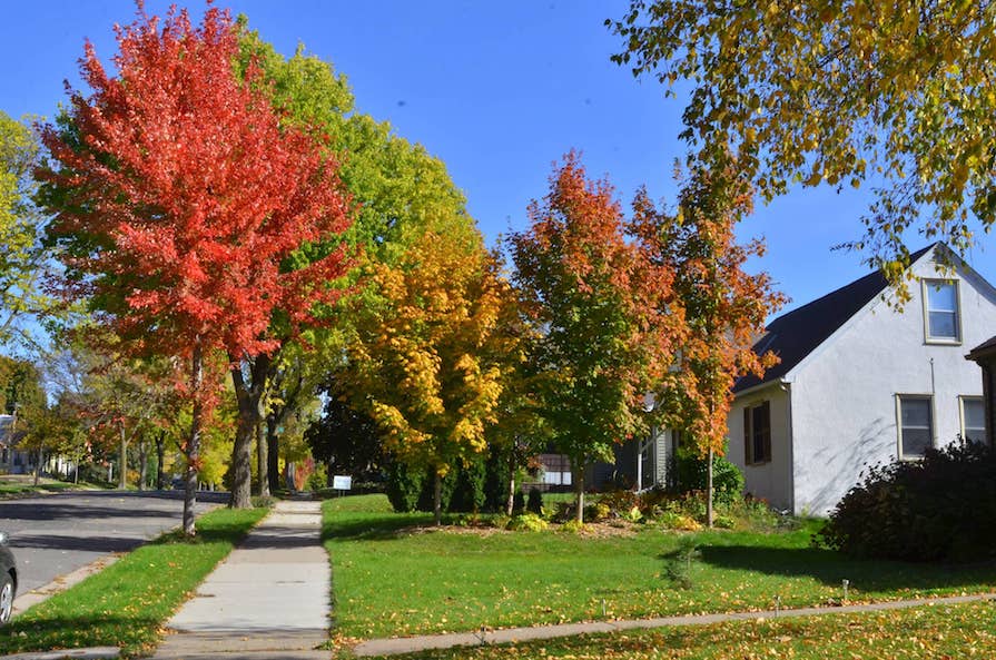 Columbia Park, Minneapolis homes for sale & neighborhood guide | Edina