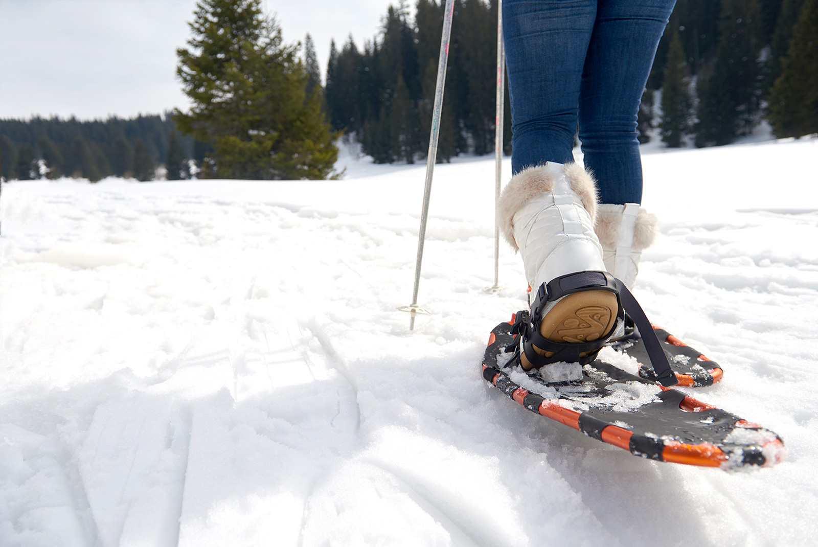 Winter Activities For Adults