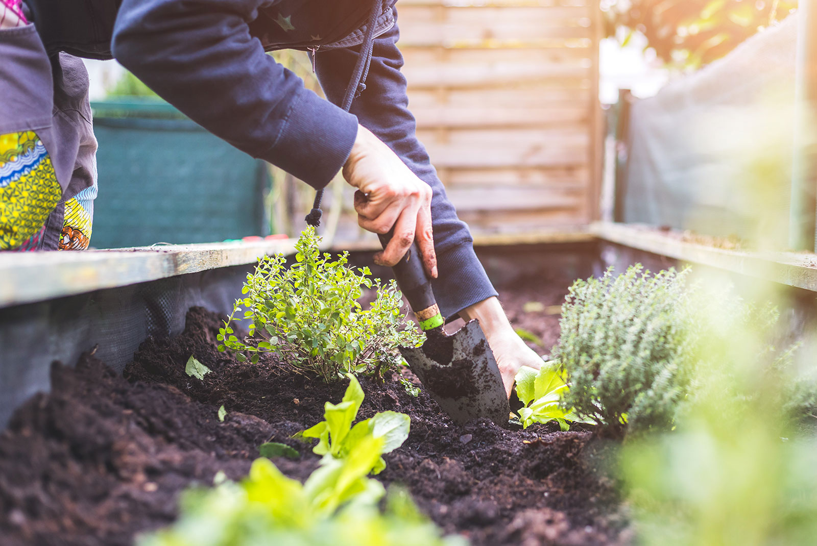 Arbor Day Gardening Gloves - Arbor Day Foundation